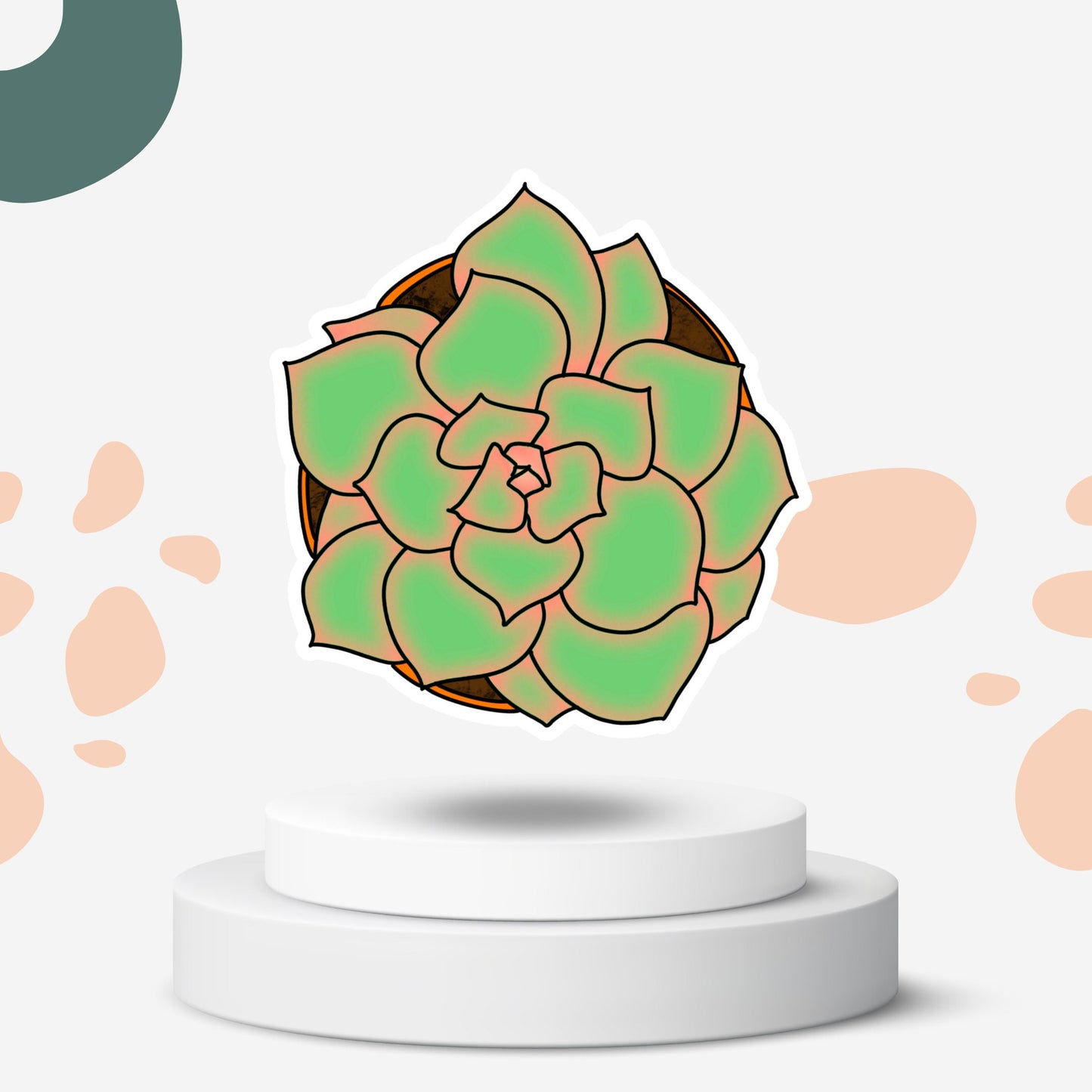 Succulent Sticker Sheet Pack/Nature/Cactus/Plants